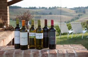 La Svezia che ama il vino italiano