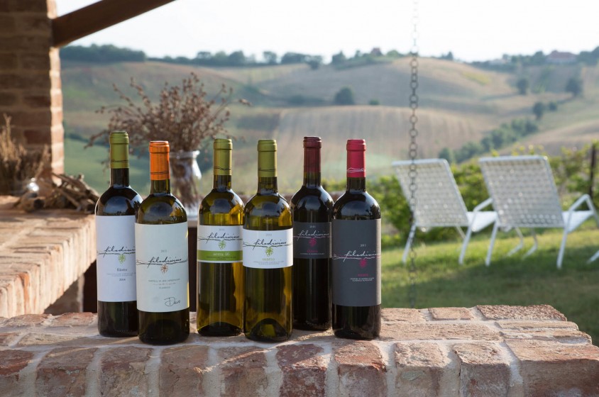 La Svezia che ama il vino italiano