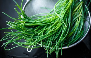Gli agretti