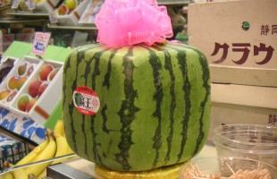 La frutta prende nuove forme
