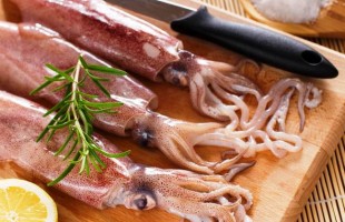 Calamari vs Totani