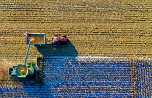 AgriFood Tech 