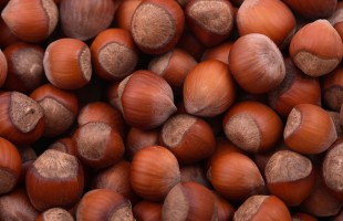 Gli abbinamenti delle nocciole