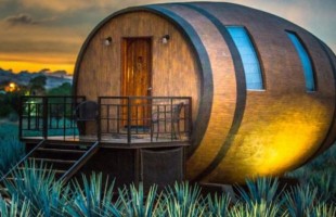 Vacanze in una botte 