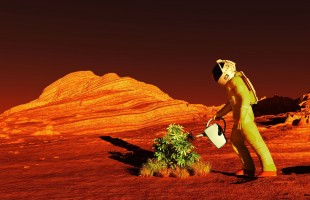 Coltivazioni&hellip;su Marte