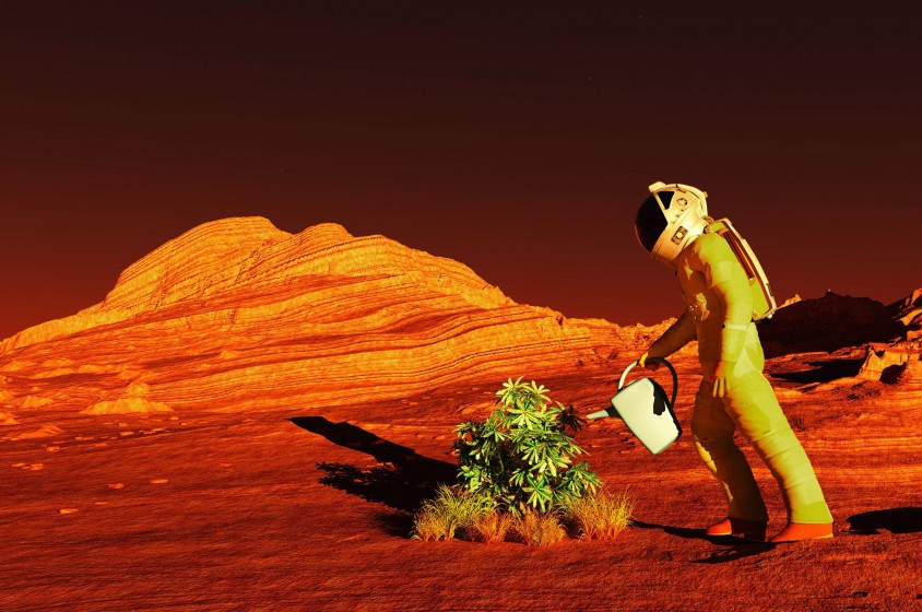 Coltivazioni&hellip;su Marte