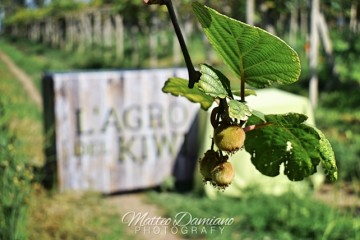 Oltre il kiwi