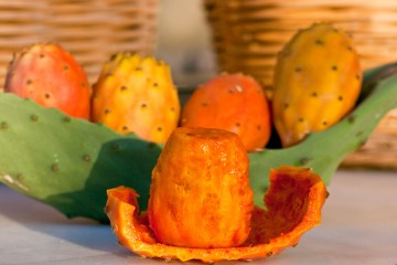 Il fico d&rsquo;India