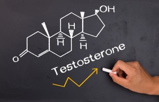 I segreti del testosterone