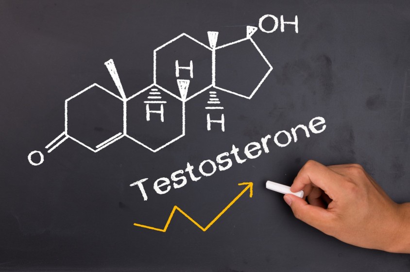 I segreti del testosterone