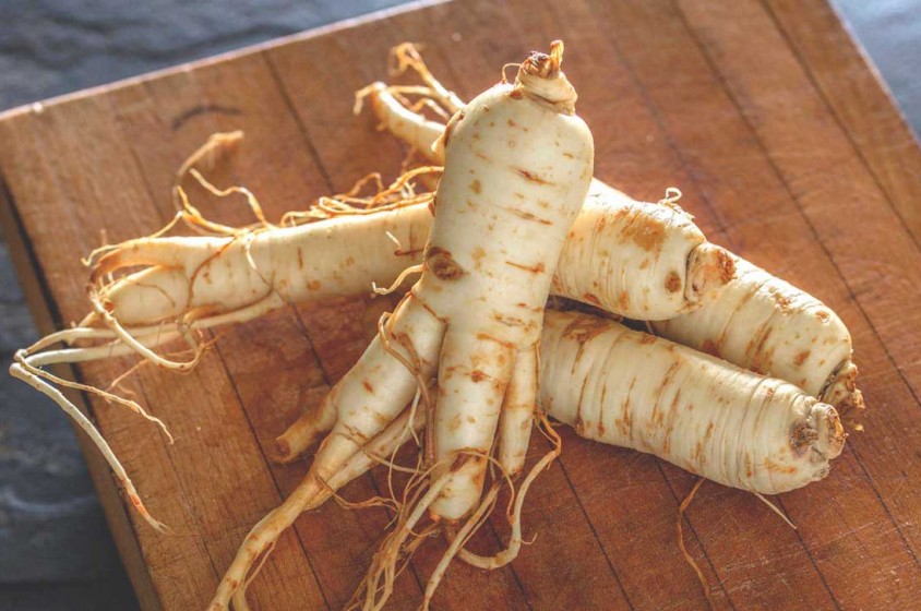Cosa c&rsquo;&egrave; nel ginseng in tazza