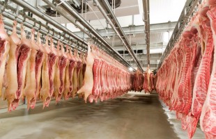 Suini e salumi, mercato a rischio