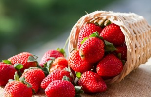 Trovare l&rsquo;ago in una&hellip;fragola 