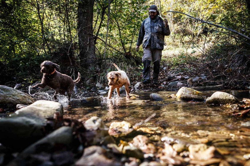 La raccolta del tartufo