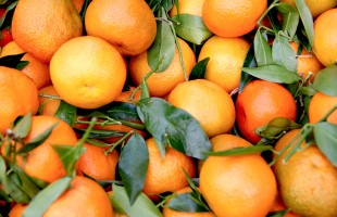 Scarti delle arance come risorsa