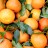 Scarti delle arance come risorsa