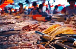 Pesce s&igrave;, ma sostenibile