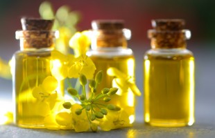 Le bufale sull&rsquo;olio di colza