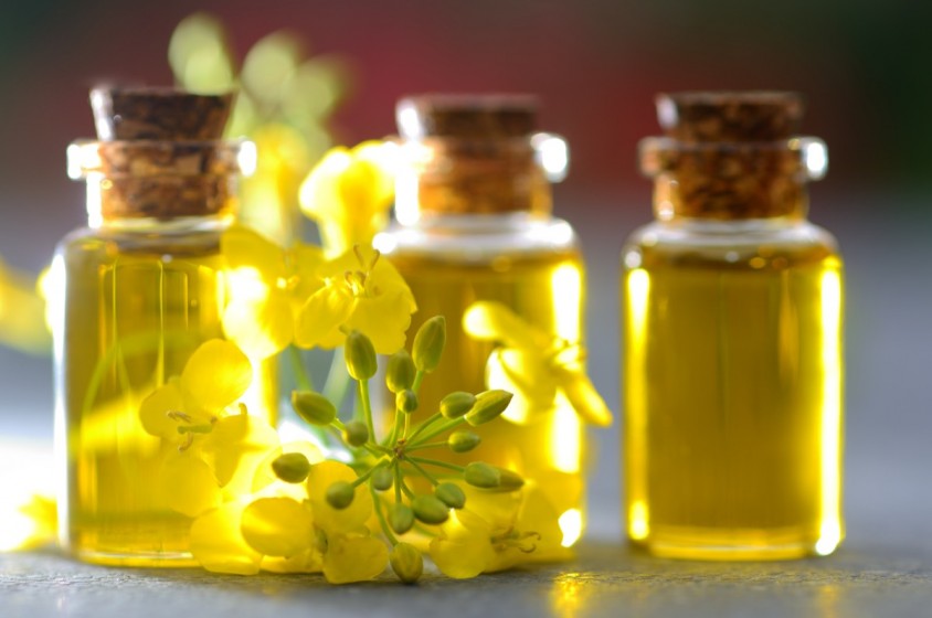 Le bufale sull&rsquo;olio di colza