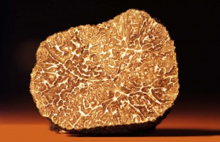 Tartufo e aromi sintetici