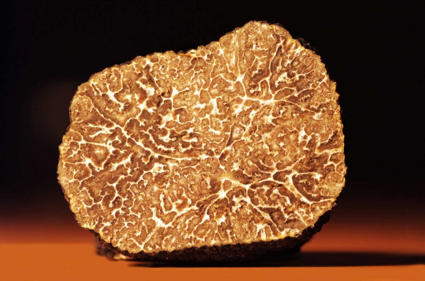 Tartufo e aromi sintetici