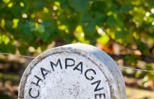 Champagne amico dell&rsquo;ambiente