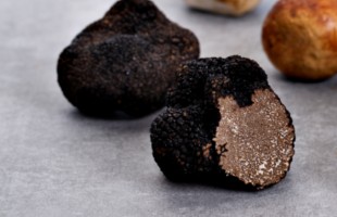 Tutto sul tartufo