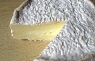 Il Murazzano DOP 