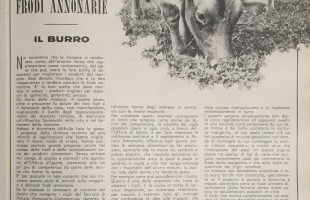 Frodi sul burro nel 1955