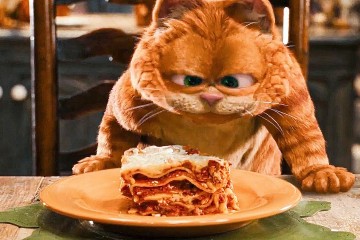 Portate altre portate!