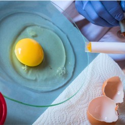 Divertirsi con le uova 