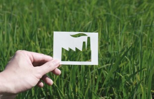 Occhio al greenwashing