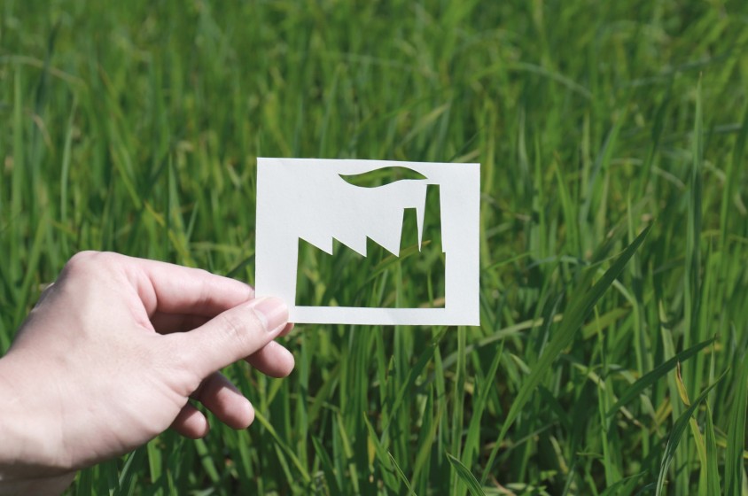 Occhio al greenwashing