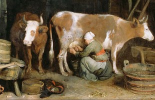 L&rsquo;attivit&agrave; casearia nel &lsquo;500