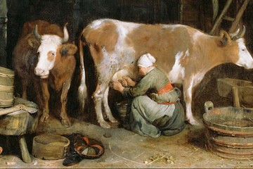 L&rsquo;attivit&agrave; casearia nel &lsquo;500