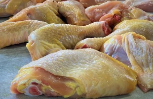Le carni di pollo