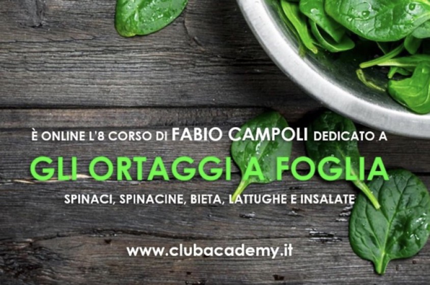 Gli  ortaggi a foglia verde secondo Fabio Campoli