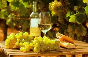 Il vino Frascati 