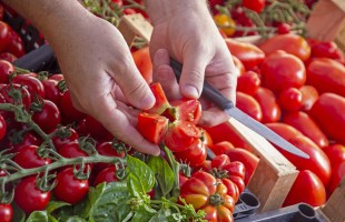 Pomodori in frigorifero: si o no? 