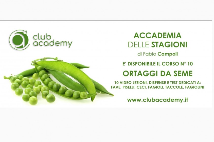 Fabio Campoli insegna i legumi