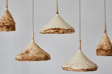 Mobili fatti&hellip; di funghi