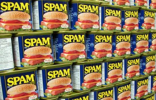 Quando il cibo &egrave;&hellip; &ldquo;spam&rdquo;