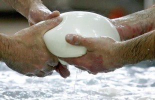 Mozzarella di bufala halal 