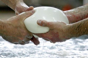 Mozzarella di bufala halal 
