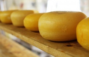 Il formaggio&hellip;archeologico