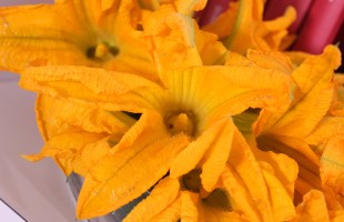 In cucina con i fiori di zucca 