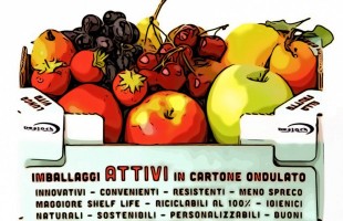 Il packaging&hellip;Attivo 