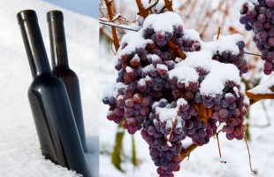 Ice wine