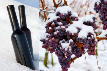 Ice wine