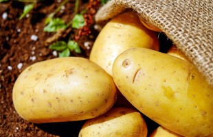 La patata